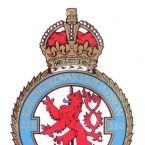Coat of arms 310 Squadron